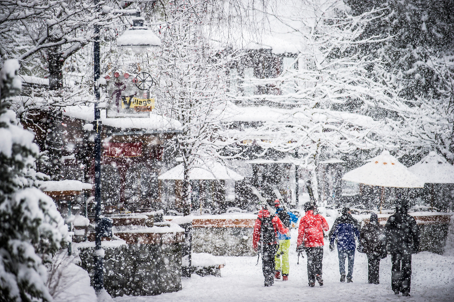 About Whistler VIP Mountain Holidays